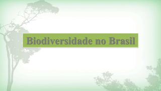 Biodiversidade no Brasil 
 