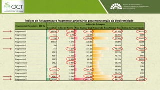 Índices de Paisagem para Fragmentos prioritários para manutenção da biodiversidade 
Índices de Paisagem 
Área (ha) Índice de Forma Área Nuclear (ha) Proporção Área/Núcleo (ha) Índice de Proximidade 
Fragmentos Florestais > 100 ha 
Fragmento 1 931.56 2.883 817.56 87.76% 45210 
Fragmento 2 111 2.75 72.54 65.35% 1095 
Fragmento 3 1746 7.285 1350.63 77.36% 22653 
Fragmento 4 344.67 4.676 220.86 64.08% 11388 
Fragmento 5 164 3.25 108.89 66.40% 3454 
Fragmento 6 147 2.154 115.11 78.31% 46227 
Fragmento 7 175.3 3.019 123.12 70.23% 162 
Fragmento 8 402.4 4.122 292.59 72.71% 5861 
Fragmento 9 125.5 2.659 88.29 70.35% 22530 
Fragmento 10 142.2 2.837 97.02 68.23% 420 
Fragmento 11 336 4.424 230.49 68.60% 1181 
Fragmento 12 1153 7.787 804.51 69.78% 887 
Fragmento 13 215 3.041 155.7 72.42% 1707 
Fragmento 14 408.5 3.042 327.33 80.13% 1287 
Fragmento 15 8102 10.709 6827.66 84.27% 13004 
 