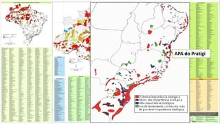 APA do Pratigi 
APA do Pratigi 
 
