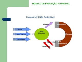 MODELO DE PRODUÇÃO FLORESTAL




Sustentável X Não Sustentável
 