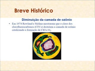 Breve Histórico
 