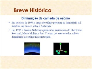 Breve Histórico
 