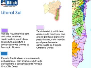Litoral Sul
Planalto Pré-litorâneo em ambiente do
embasamento, com arranjo produtivo de
agropecuária e conservação da Floresta
Ombrófila Densa
Planície Fluviomarinha com
atividades turísticas,
carcinocultura, maricultura,
aquicultura, psicultura e
conservação dos biomas da
Formação Pioneira
Tabuleiro do Litoral Sul em
ambiente de Cobertura, com
arranjo produtivo agro-silvio-
pastoril (cana, café, mamão,
eucalipto e bovino) e
conservação de Floresta
Ombrófila Densa
 