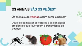 Os animais são vítimas, assim como o homem
Deve-se combater os vetores e as condições
ambientais que favorecem a transmissão da
doença
PAG 13
OS ANIMAIS SÃO OS VILÕES?
 