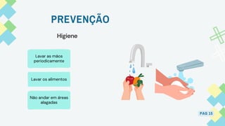 Lavar as mãos
periodicamente
Lavar os alimentos
Não andar em áreas
alagadas
PREVENÇÃO
PAG 15
Higiene
 