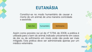 EUTANÁSIA
PAG 17
Constitui-se no modo humanitário de causar a
morte de um animal, de uma maneira controlada
e assistida.
Sem Dor Humanitário Sofrimento
Assim como previsto na Lei de nº 11.794, de 2008, a prática é
utilizada para o bem do animal, indicado unicamente em casos
de dor ou de sofrimento em níveis onde não pode ser mais
mitigado. Esta prática deve ser administrada apenas por um
médico veterinário.
 