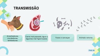TRANSMISSÃO
PAG 04
Arranhaduras,
mordeduras,
lambeduras
Fezes e carcaças
Carne mal passada, água e
legumes mal higienizados
Animais vetores
 