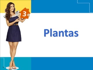 Plantas

21
 
