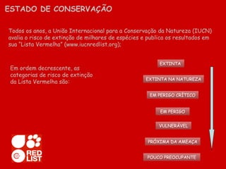 Todos os anos, a União Internacional para a Conservação da Natureza (IUCN) avalia o risco de extinção de milhares de espécies e publica os resultados em sua “Lista Vermelha” (www.iucnredlist.org); Em ordem decrescente, as categorias de risco de extinção da Lista Vermelha são: ESTADO DE CONSERVAÇÃO EXTINTA EXTINTA NA NATUREZA EM PERIGO CRÍTICO EM PERIGO VULNERÁVEL PRÓXIMA DA AMEAÇA POUCO PREOCUPANTE 