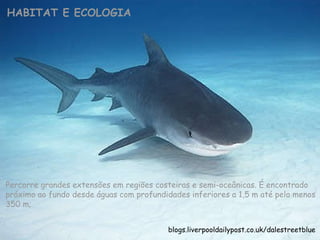 HABITAT E ECOLOGIA Percorre grandes extensões em regiões costeiras e semi-oceânicas. É encontrado próximo ao fundo desde águas com profundidades inferiores a 1,5 m até pelo menos 350 m; blogs.liverpooldailypost.co.uk/dalestreetblue 