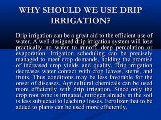 WHY SHOULD WE USE DRIPWHY SHOULD WE USE DRIP
IRRIGATION?IRRIGATION?
Drip irrigation can be a great aid to the efficient use ofDrip irrigation can be a great aid to the efficient use of
water. A well designed drip irrigation system will losewater. A well designed drip irrigation system will lose
practically no water to runoff, deep percolation orpractically no water to runoff, deep percolation or
evaporation. Irrigation scheduling can be preciselyevaporation. Irrigation scheduling can be precisely
managed to meet crop demands, holding the promisemanaged to meet crop demands, holding the promise
of increased crop yields and quality. Drip irrigationof increased crop yields and quality. Drip irrigation
decreases water contact with crop leaves, stems, anddecreases water contact with crop leaves, stems, and
fruits. Thus conditions may be less favorable for thefruits. Thus conditions may be less favorable for the
onset of diseases. Agricultural chemicals can be usedonset of diseases. Agricultural chemicals can be used
more efficiently with drip irrigation. Since only themore efficiently with drip irrigation. Since only the
crop root zone is irrigated, nitrogen already in the soilcrop root zone is irrigated, nitrogen already in the soil
is less subjected to leaching losses. Fertilizer that to beis less subjected to leaching losses. Fertilizer that to be
added to plants can be used more efficiently.added to plants can be used more efficiently.
 