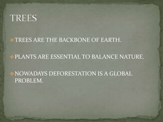 TREES ARE THE BACKBONE OF EARTH. 
PLANTS ARE ESSENTIAL TO BALANCE NATURE. 
NOWADAYS DEFORESTATION IS A GLOBAL 
PROBLEM. 
 