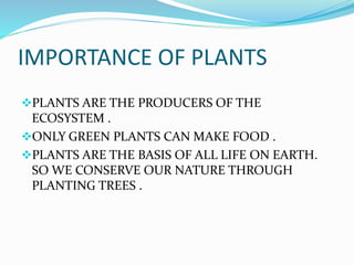 IMPORTANCE OF PLANTS 
PLANTS ARE THE PRODUCERS OF THE 
ECOSYSTEM . 
ONLY GREEN PLANTS CAN MAKE FOOD . 
PLANTS ARE THE BASIS OF ALL LIFE ON EARTH. 
SO WE CONSERVE OUR NATURE THROUGH 
PLANTING TREES . 
 