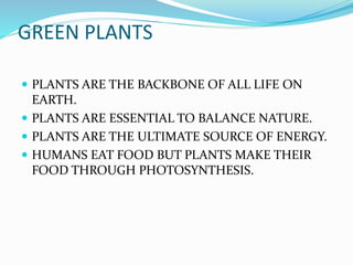 GREEN PLANTS 
 PLANTS ARE THE BACKBONE OF ALL LIFE ON 
EARTH. 
 PLANTS ARE ESSENTIAL TO BALANCE NATURE. 
 PLANTS ARE THE ULTIMATE SOURCE OF ENERGY. 
 HUMANS EAT FOOD BUT PLANTS MAKE THEIR 
FOOD THROUGH PHOTOSYNTHESIS. 
 