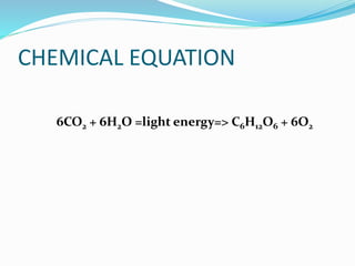 CHEMICAL EQUATION 
6CO2 + 6H2O =light energy=> C6H12O6 + 6O2 
 