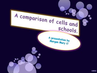 A comparison of cells and schools. A presentation by Morgan Mury 