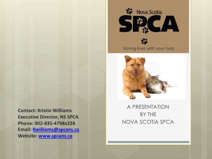scotia spca