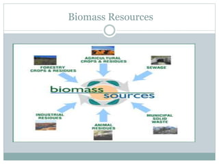 Biomass Resources
 
