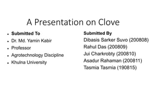 A Presentation on Clove
Submitted By
Dibasis Sarker Suvo (200808)
Rahul Das (200809)
Jui Charkrobty (200810)
Asadur Rahaman (200811)
Tasmia Tasmia (190815)
by
Dibasis (190815)
 Submitted To
 Dr. Md. Yamin Kabir
 Professor
 Agrotechnology Discipline
 Khulna University
 