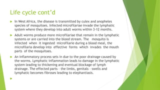 Life cycle cont’d
 In West Africa, the disease is transmitted by culex and anopheles
species of mosquitoes. Infected microfilariae invade the lymphatic
system where they develop into adult worms within 3-12 months.
 Adult worms produce more microfilariae that remain in the lymphatic
systems or are carried into the blood stream. The mosquito is
infected when it ingested microfilarie during a blood meal, the
microfilaria develop into effective forms which invades the mouth
parts of the mosquitoes.
 An inflammatory process sets in due to the poor drainage caused by
the worms. Lymphatic inflammation leads to damage in the lymphatic
system leading to thickening and eventual blockage of lymph
drainage. The effected parts – the limbs, genitals – swells and
lymphatic becomes fibroses leading to elephantiasis.

 