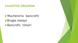 CAUSATIVE ORGANISM
Wuchereria bancrofti
Brugia malayi
Bancrofti timori
 