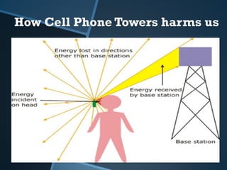 A presentation on hazards of cell phones | PDF