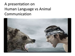 A presentation on human language vs animal communication