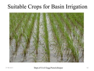 Dept.of Civil Engg.Pietech,Raipur
Suitable Crops for Basin Irrigation
27-08-2017 63
 