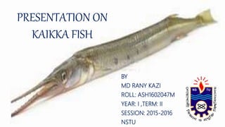 PRESENTATION ON
KAIKKA FISH
BY
MD RANY KAZI
ROLL: ASH1602047M
YEAR: I ,TERM: II
SESSION: 2015-2016
NSTU
 