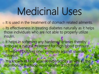 Medicinal Uses
o It is used in the treatment of stomach related ailments.
o Its effectiveness in treating diabetes naturally as it helps
those individuals who are not able to properly utilize
insulin.
o It helps in softening any hardened arteries thereby
acting as a natural treatment for high blood pressure.
o It helps in building ones immunity against stomach
distress.
o It is known to help against hyperacidity as well as the
digestion of the food more so after a rich meal.
 
