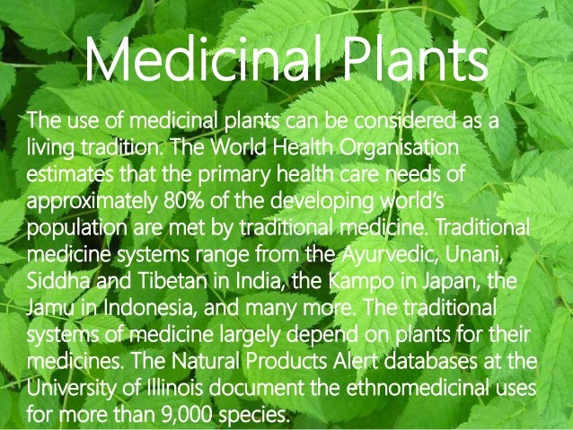 Benefits Of Herbal Medicinal Plants Ppt By Harry Tailor Issuu