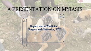 Department of Medicine ,
Surgery and Obstetrics, STU
 