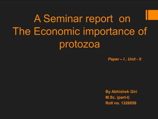 A Seminar report on
The Economic importance of
protozoa
By Abhishek Giri
M.Sc. (part-I)
Roll no. 1326056
Paper – I , Unit - II
 