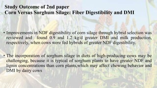 Study Outcome of 2nd paper
Corn Versus Sorghum Silage: Fiber Digestibility and DMI
• Improvements in NDF digestibility of corn silage through hybrid selection was
reviewed and found 0.9 and 1.2 kg/d greater DMI and milk production,
respectively, when cows were fed hybrids of greater NDF digestibility.
• The incorporation of sorghum silage in diets of high-producing cows may be
challenging, because it is typical of sorghum plants to have greater NDF and
lignin concentrations than corn plants,which may affect chewing behavior and
DMI by dairy cows
 