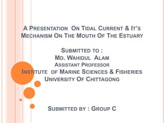 A PRESENTATION ON TIDAL CURRENT & IT’S
MECHANISM ON THE MOUTH OF THE ESTUARY
SUBMITTED TO :
MD. WAHIDUL ALAM
ASSISTANT PROFESSOR
INSTITUTE OF MARINE SCIENCES & FISHERIES
UNIVERSITY OF CHITTAGONG
SUBMITTED BY : GROUP C
 