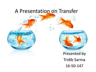 A Presentation on Transfer
Presented by
Tridib Sarma
16-50-147
 