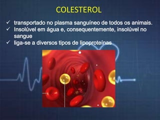 COLESTEROL 
 transportado no plasma sanguíneo de todos os animais. 
 Insolúvel em água e, consequentemente, insolúvel no 
sangue 
 liga-se a diversos tipos de lipoproteínas 
 