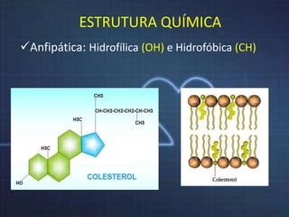 ESTRUTURA QUÍMICA 
Anfipática: Hidrofílica (OH) e Hidrofóbica (CH) 
 