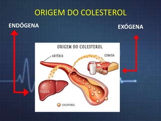 ORIGEM DO COLESTEROL 
ENDÓGENA EXÓGENA 
 