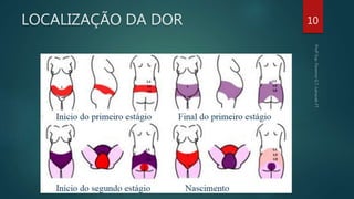 LOCALIZAÇÃO DA DOR 10
 