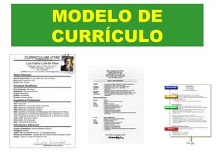 MODELO DE
CURRÍCULO
 