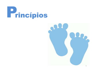 rincípiosP
5
 