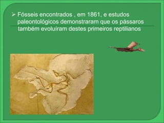  Fósseis encontrados , em 1861, e estudos 
paleontológicos demonstraram que os pássaros 
também evoluíram destes primeiros reptilianos 
 