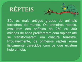  São os mais antigos grupos de animais 
terrestres do mundo. Os primeiros répteis, 
evoluíram dos anfíbios há 250 ou 300 
milhões de anos proliferaram com rapidez até 
se transformarem em criatura terrestre. 
Provavelmente, os primeiros répteis eram 
fisicamente parecidos com os que existem 
hoje em dia. 
 