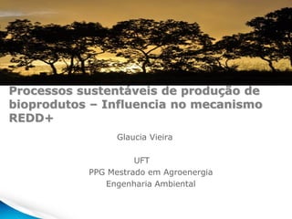 Processos sustentáveis de produção de
bioprodutos – Influencia no mecanismo
REDD+
Glaucia Vieira
UFT
PPG Mestrado em Agroenergia
Engenharia Ambiental
 