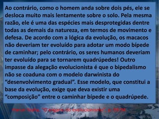 Ao contrário, como o homem anda sobre dois pés, ele se
desloca muito mais lentamente sobre o solo. Pela mesma
razão, ele é uma das espécies mais desprotegidas dentre
todas as demais da natureza, em termos de movimento e
defesa. De acordo com a lógica da evolução, os macacos
não deveriam ter evoluído para adotar um modo bípede
de caminhar; pelo contrário, os seres humanos deveriam
ter evoluído para se tornarem quadrúpedes! Outro
impasse da alegação evolucionista é que o bipedalismo
não se coaduna com o modelo darwinista do
“desenvolvimento gradual”. Esse modelo, que constitui a
base da evolução, exige que deva existir uma
“composição” entre o caminhar bípede e o quadrúpede.
Harun Yayha, "O engano do evolucionismo", p. 93-94
 