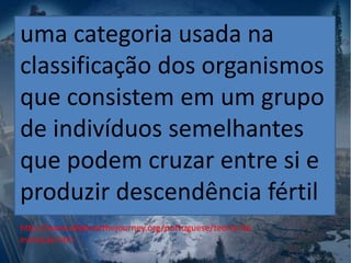 uma categoria usada na
classificação dos organismos
que consistem em um grupo
de indivíduos semelhantes
que podem cruzar entre si e
produzir descendência fértil
http://www.allaboutthejourney.org/portuguese/teoria-da-
evolucao.htm
 
