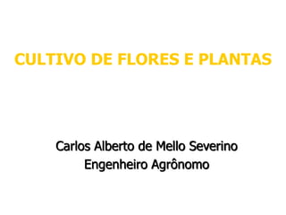 CULTIVO DE FLORES E PLANTAS
Carlos Alberto de Mello Severino
Engenheiro Agrônomo
 
