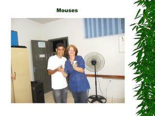 Mouses
 