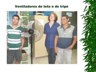 Ventiladores de teto e de tripé
 